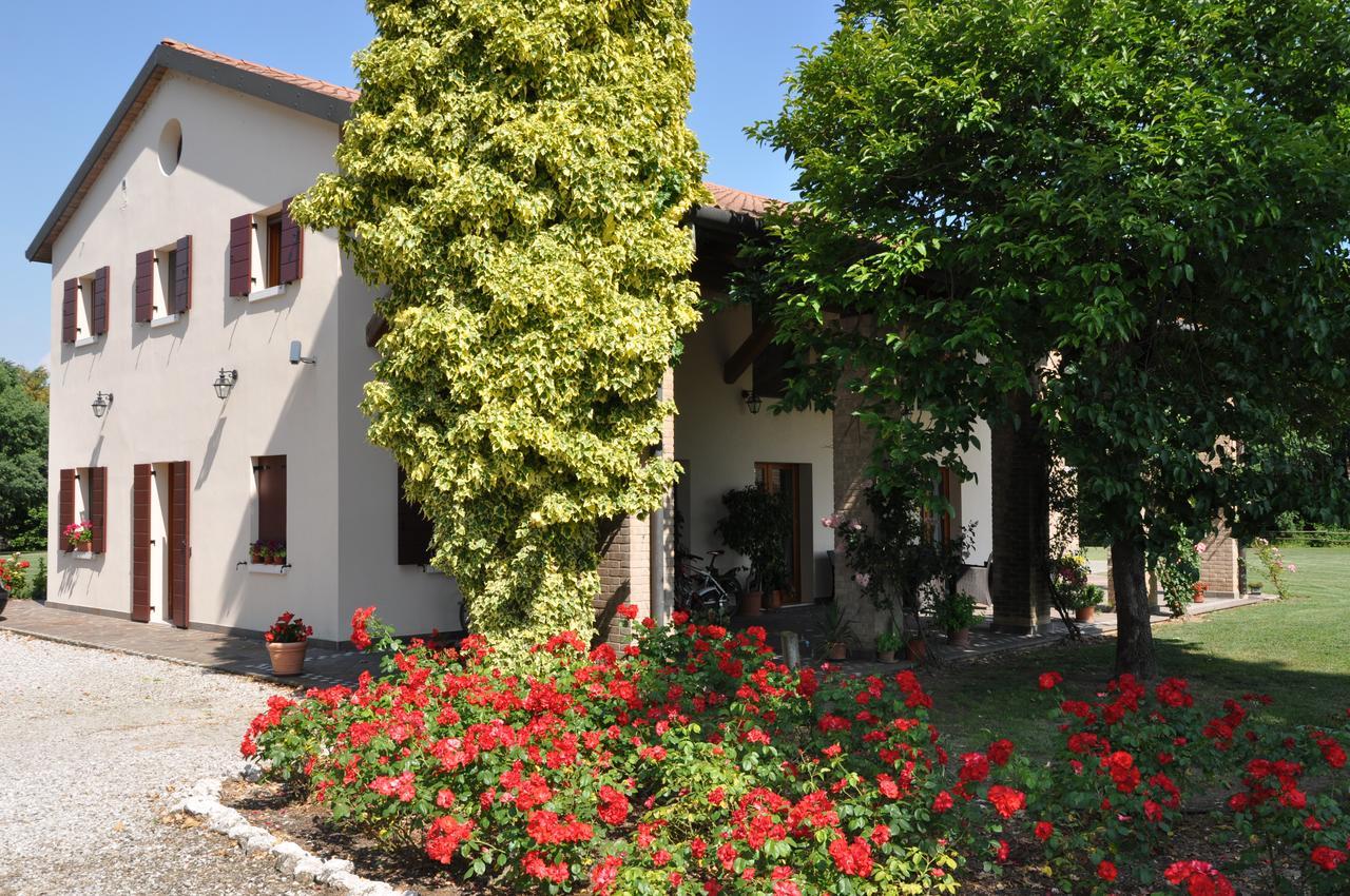 Agriturismo Ancillotto Meolo Dış mekan fotoğraf
